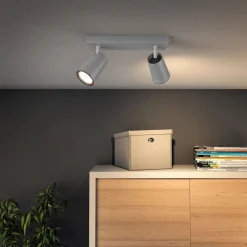 Philips Lighting PAISLEY bar/tube aluminium 2xNW 230V