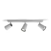 Philips Lighting PAISLEY bar/tube aluminium 3xNW 230V