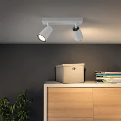 Philips Lighting PAISLEY bar/tube white 2xNW 230V