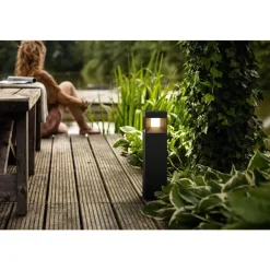 Philips Lighting Parterre pedestal black 1x8W 230V