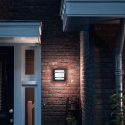 Philips Lighting Petronia wall lantern anthracite 1x12W