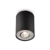 Philips Lighting PILLAR single spot black 1x20W 230V