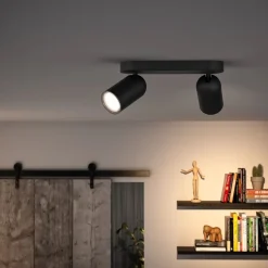 Philips Lighting PONGEE bar/tube black 2xNW 230V