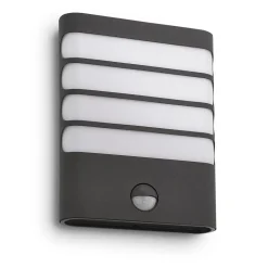 Philips Lighting Raccoon wall lantern anthracite 1x3W SEL