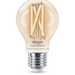 Philips Lighting Smart LED Filamentlamp helder 7 W (gelijk aan 60 W) A60 E27
