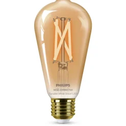 Philips Lighting Smart LED Filamentlamp amberkleurig 7 W (gelijk aan 50 W) ST64 E27