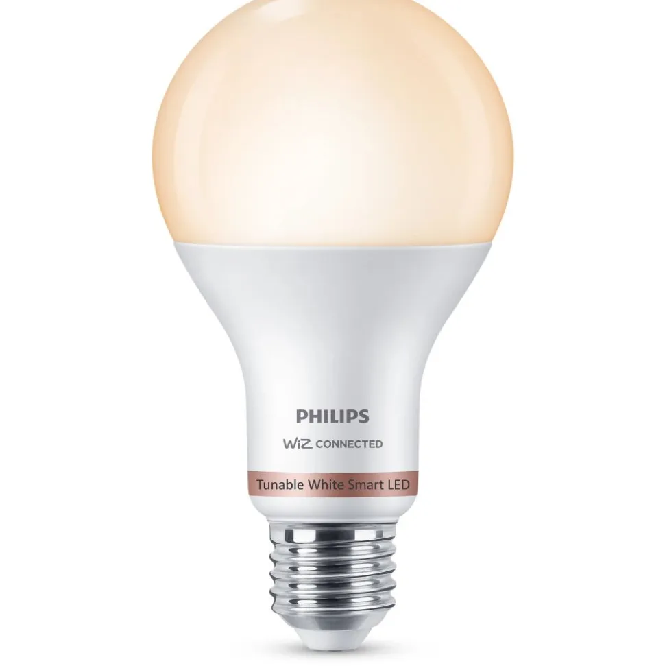 Philips Lighting Smart LED Lamp 13 W (gelijk aan 100 W) A67 E27