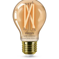 Philips Lighting Smart LED Filamentlamp amberkleurig 7 W (gelijk aan 50 W) A60 E27