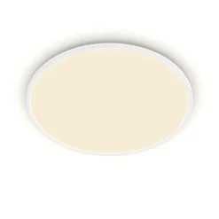 Philips Lighting Superslim CL550 SS RD 36W 27K W WV 06