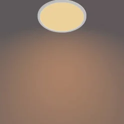 Philips Lighting Superslim CL550 SS RD 15W 27K W WVIP4406