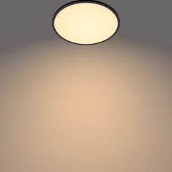 Philips Lighting Superslim CL550 SS RD 15W 27K B WV 06