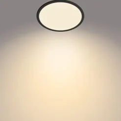 Philips Lighting Superslim CL550 SS RD 15W 27K B WVIP4406