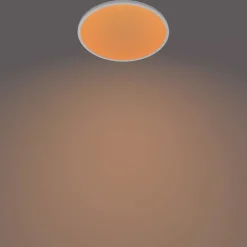 Philips Lighting Superslim CL550 SS RD 15W 27K W WV 06