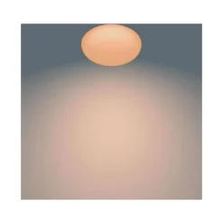 Philips Lighting TOBA CL505 SS RD 23W 27-65K W HV RC 06