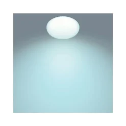 Philips Lighting TOBA CL505 SS RD 23W 27-65K W HV RC 06