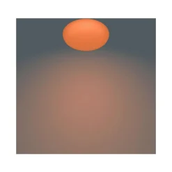 Philips Lighting TOBA CL505 SS RD 23W 27-65K W HV RC 06