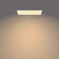 Philips Lighting Touch ceiling CL560 SS RT 36W 27K W HV06