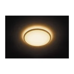 Philips Lighting WAWEL LED WHT17W TUNABLE ceiling lamp