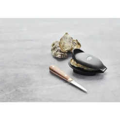 Point-Virgule 2delige set van oestermes en -houder in hout,rvs,kunststof 16x2.5x1.5cm