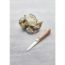 Point-Virgule 2delige set van oestermes en -houder in hout,rvs,kunststof 16x2.5x1.5cm