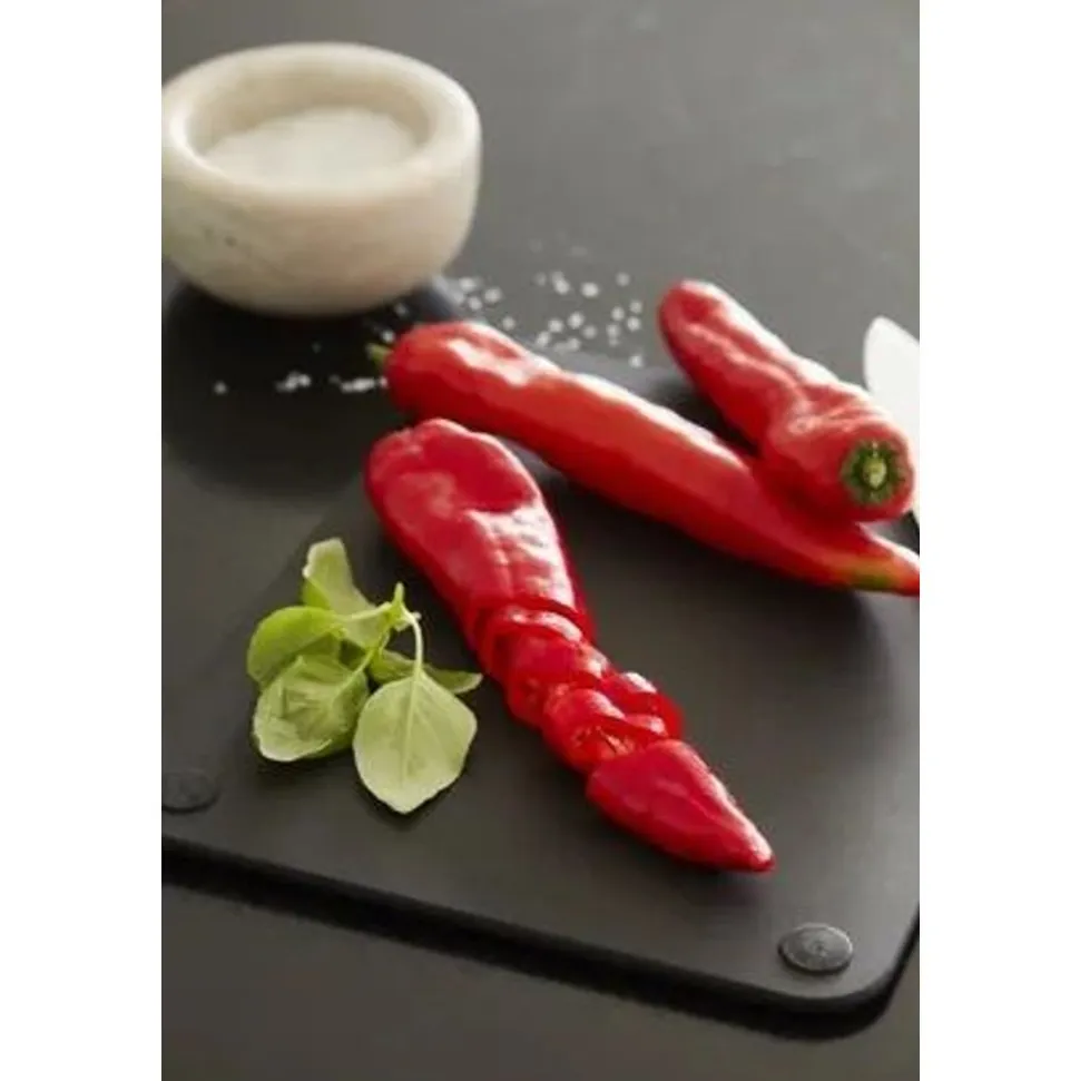 Point-Virgule snijplank met sapgeul uit houtvezel zwart 37x27.5x0.6cm FSC MIX