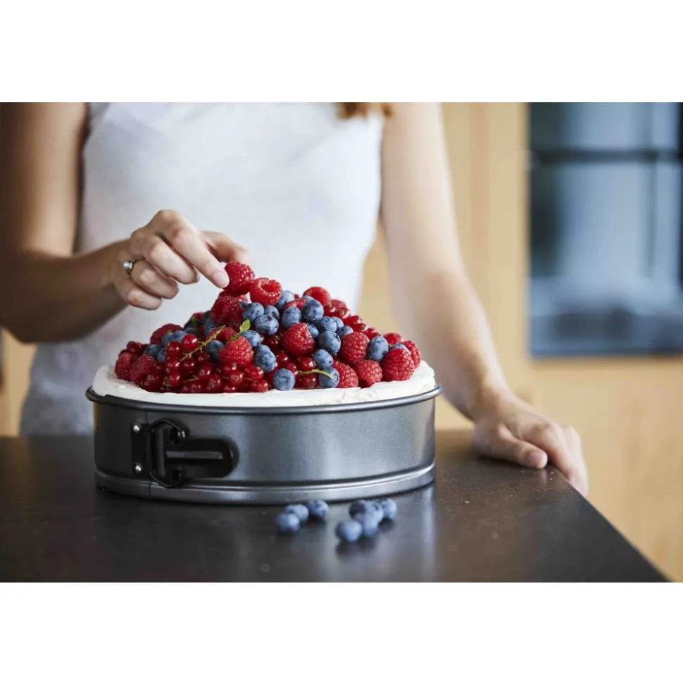 Point-Virgule Springvorm met anti-aanbaklaag ø 20cm