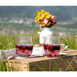 Riedel Mixing Tonic Set set/4