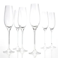 Salt & Pepper Cuvee champagneglas set/6