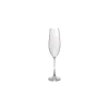 S|P Collection Saga Champagneglas 29cl - set/4