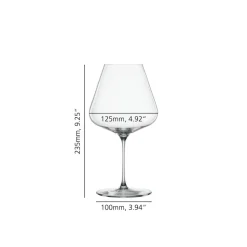 Spiegelau Definition Burgundy glas set/2