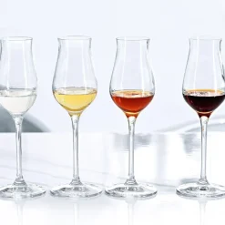 Spiegelau Special Glasses digestiefglas 55ml set/4