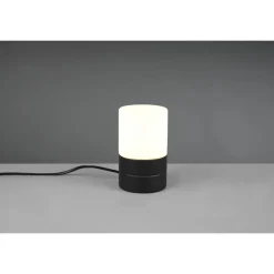 Trio ARY II - 591000132 excl.1xE14