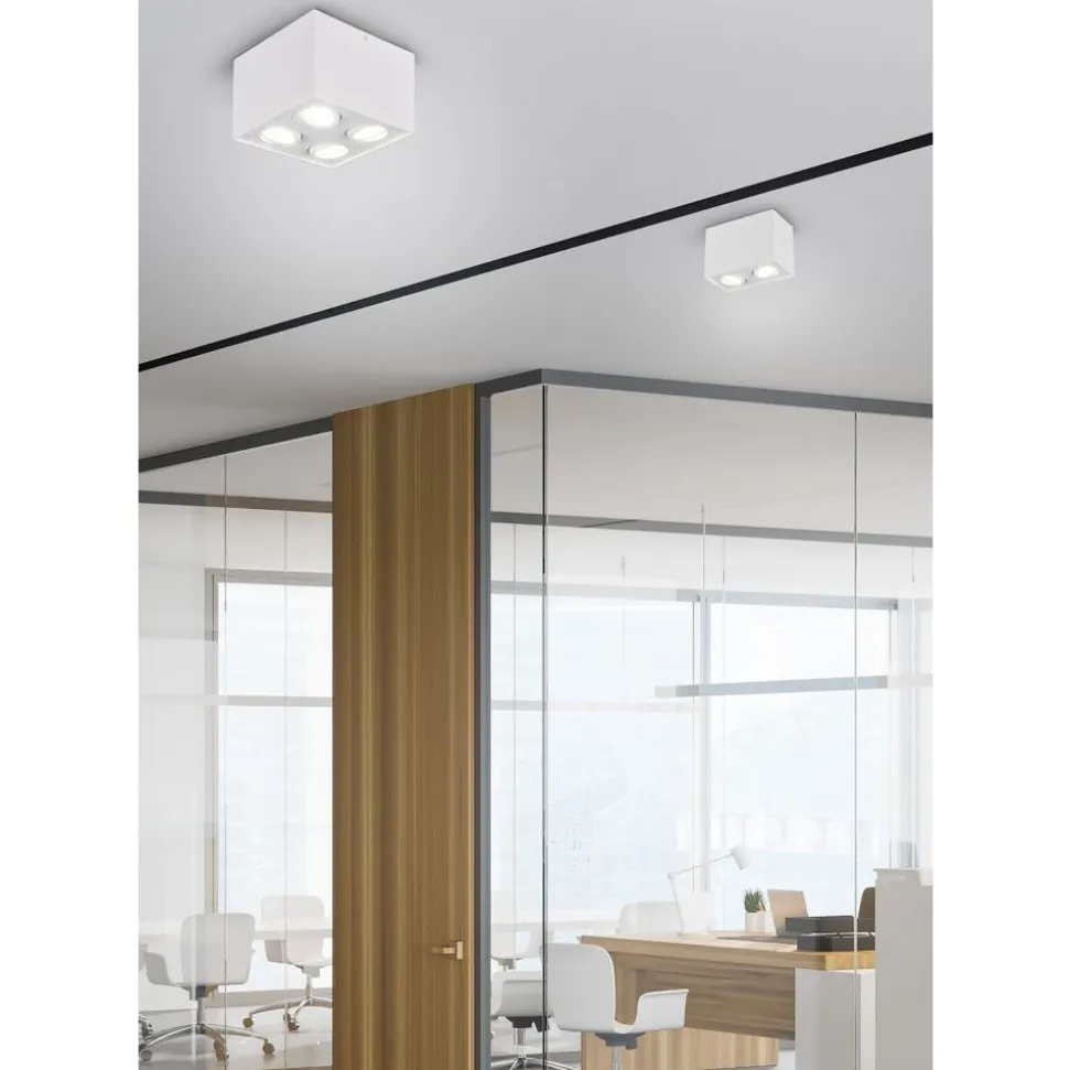 Trio BISCUIT - 613000231 excl.2xGU10