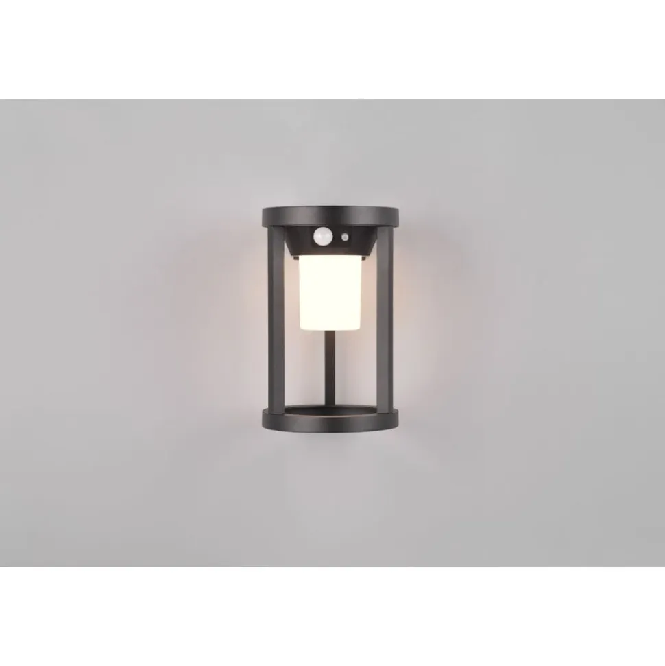 Trio CARMO - 241069132 incl.1x2W LED/130Lm/3000K