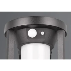 Trio CARMO - 241069132 incl.1x2W LED/130Lm/3000K