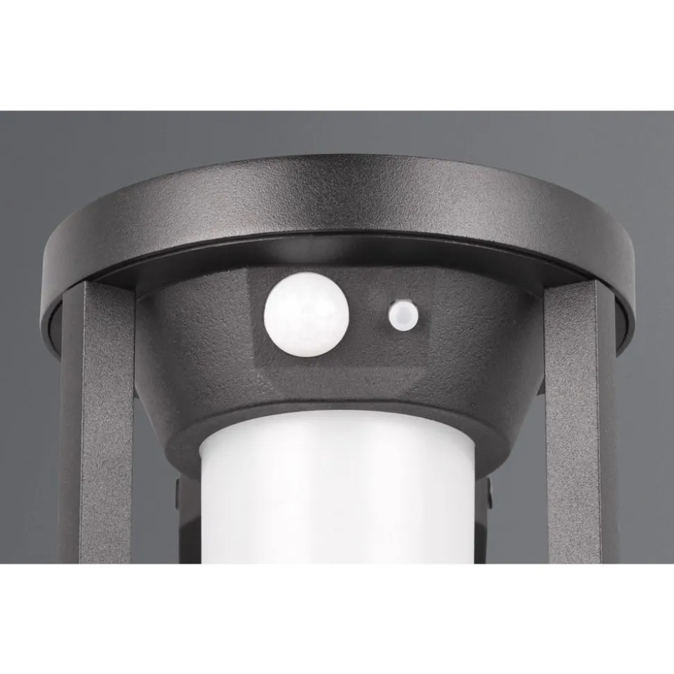 Trio CARMO - 241069132 incl.1x2W LED/130Lm/3000K