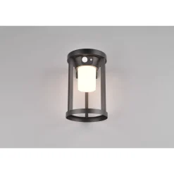 Trio CARMO - 241069132 incl.1x2W LED/130Lm/3000K