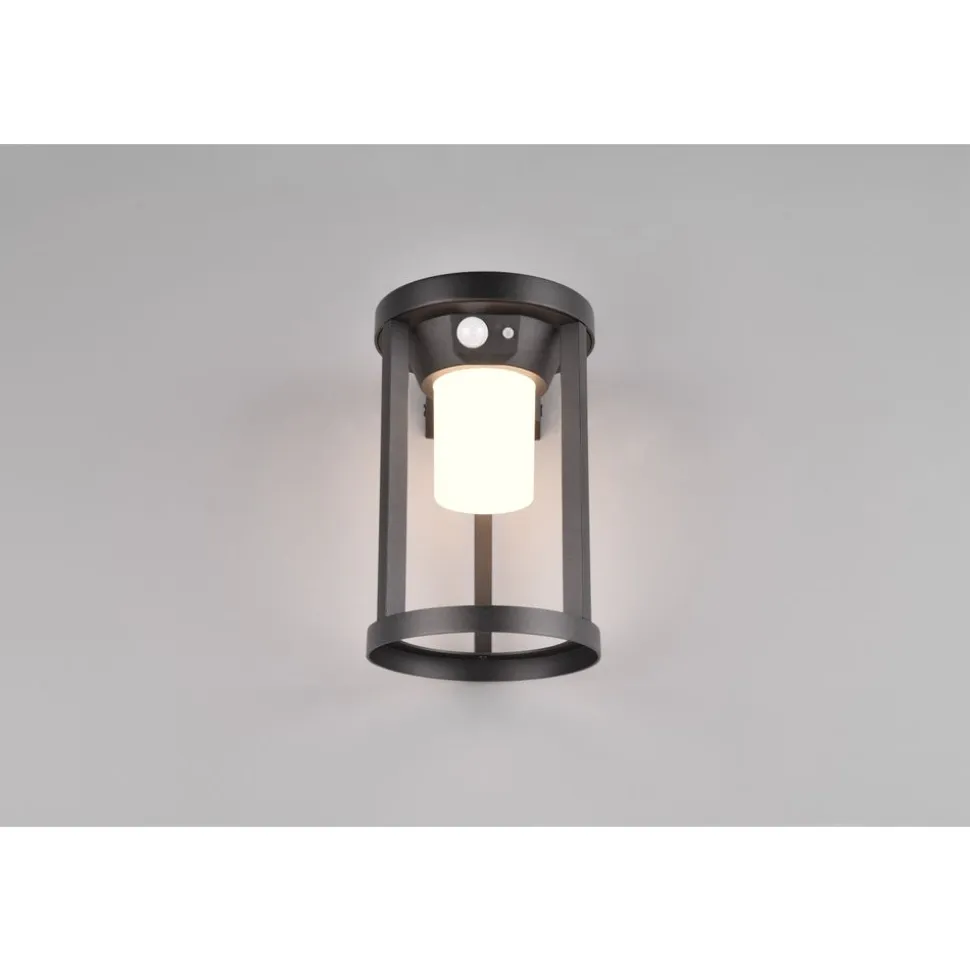 Trio CARMO - 241069132 incl.1x2W LED/130Lm/3000K