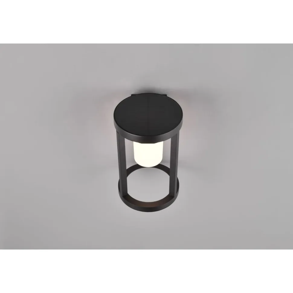 Trio CARMO - 241069132 incl.1x2W LED/130Lm/3000K