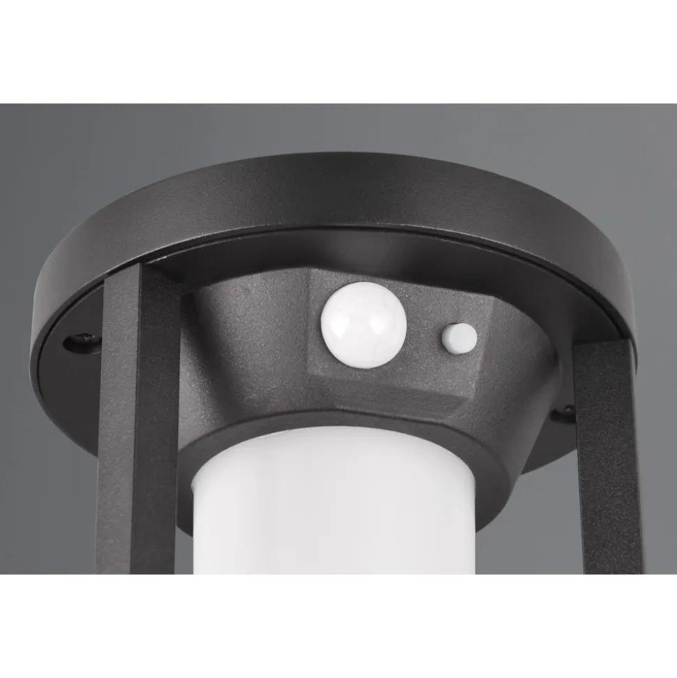 Trio CARMO - 441069132 incl.1x2W LED/130Lm/3000K