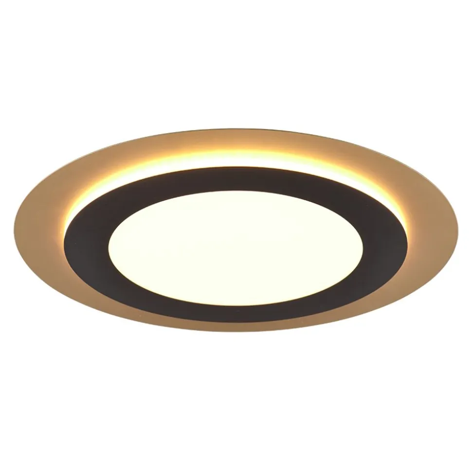 Trio MORGAN - 641519280 1x 50W-LED, 2700-6000K, 5000lm