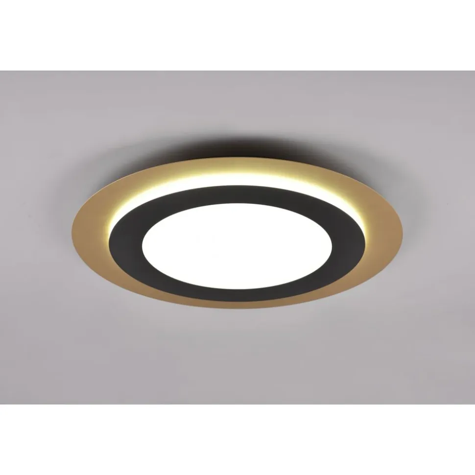 Trio MORGAN - 641519280 1x 50W-LED, 2700-6000K, 5000lm