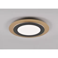 Trio MORGAN - 641519280 1x 50W-LED, 2700-6000K, 5000lm