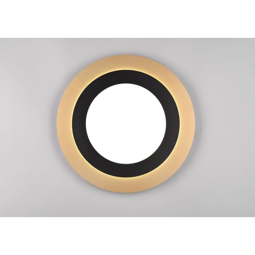 Trio MORGAN - 641519280 1x 50W-LED, 2700-6000K, 5000lm