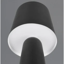 Trio NUBIAN - 562900132 excl.1xE27