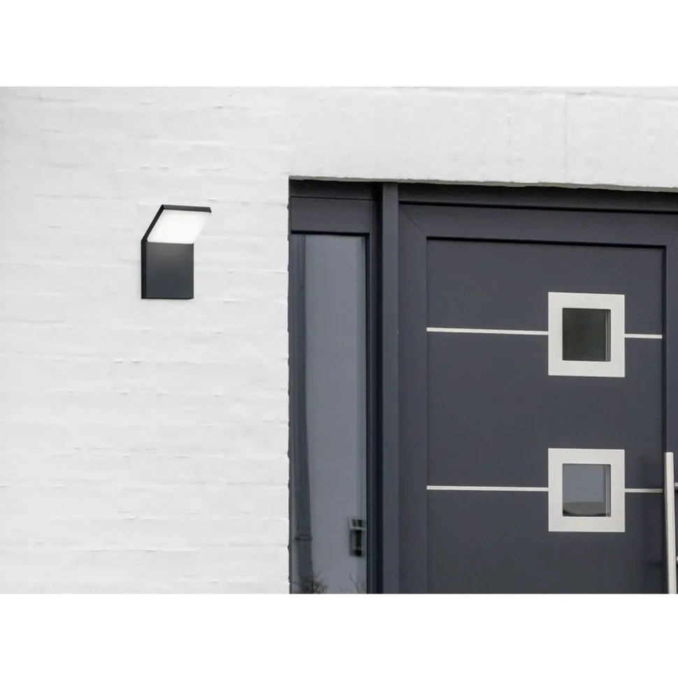 Trio PEARL - 221160142 incl.1x8W LED/900Lm/3000K