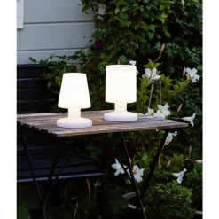 Trio REALITY TAFELLAMP LORA 1XLED R57071101