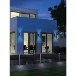 Trio ROYA - 204260242 excl.2xGU10