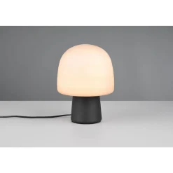 Trio STEEN - 568200132 excl.1xE14