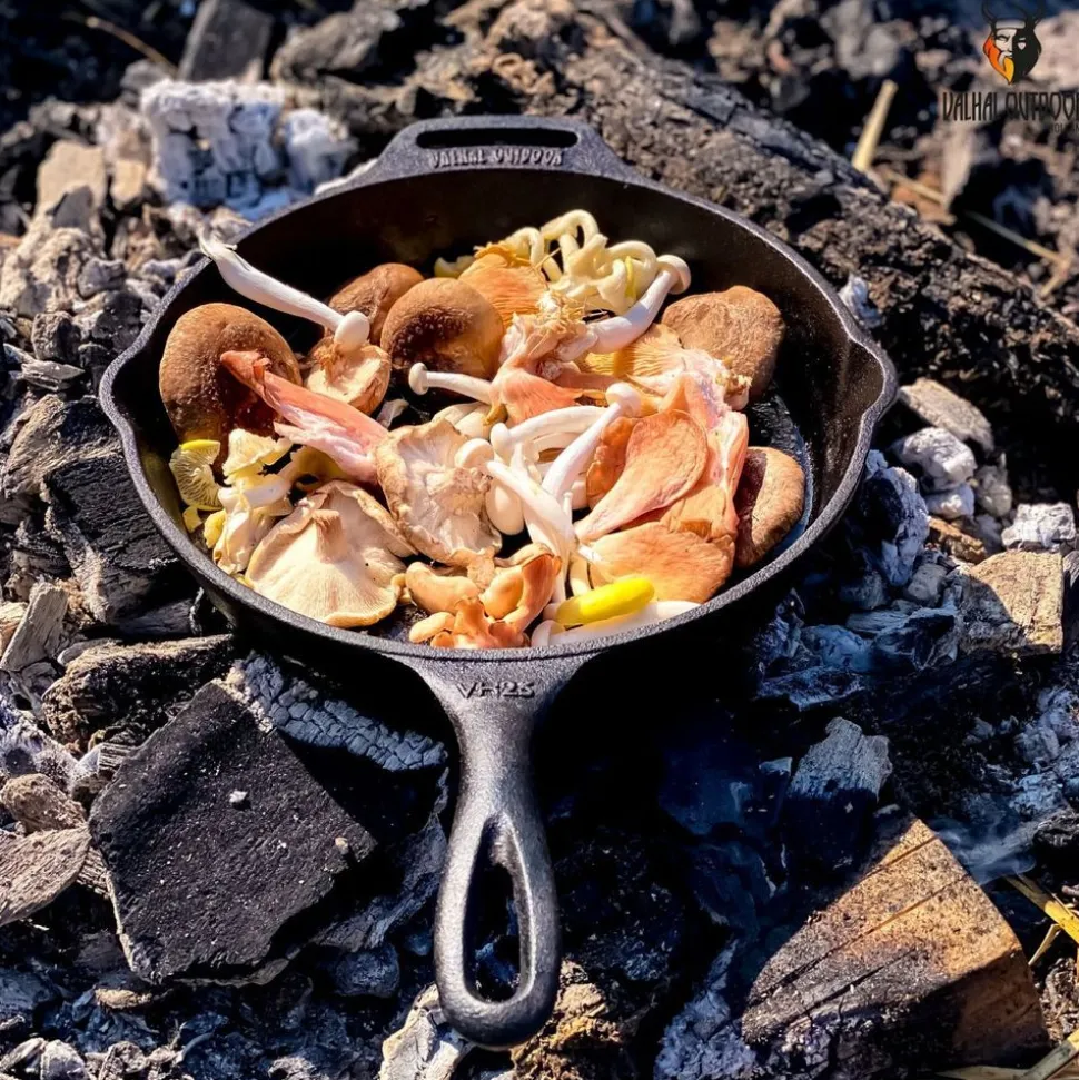 Valhal Outdoor Skillet koekenpan gietijzer met steel 25 cm